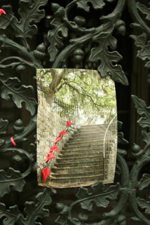 The Iron Gate, Savannah, GA., 18x26", facemounted with acrylic